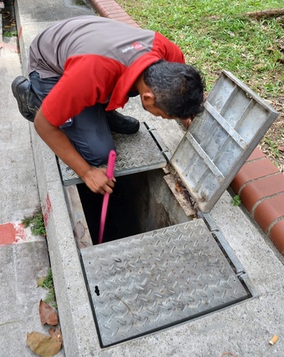 シンガポールのジカ感染者215人に、ウイルスはアジア系統