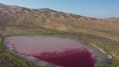 砂漠に輝く宝石のよう ピンク色の湖 中国 内モンゴル 写真6枚 国際ニュース Afpbb News