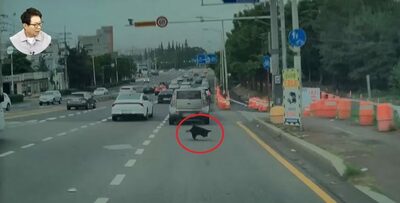 走行中の車の下から突然「傘」、踏みつけて車両破損…韓国・専門家は「誰にも責任問えない、運が悪かった事故」