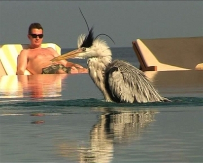 【動画】南国の楽園モルディブで味わう究極のラグジュアリー