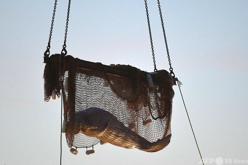 仏セーヌ川のシロイルカ、安楽死
