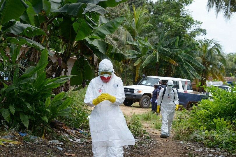 エボラ死者2000人超える、11月にもワクチン登場か WHO