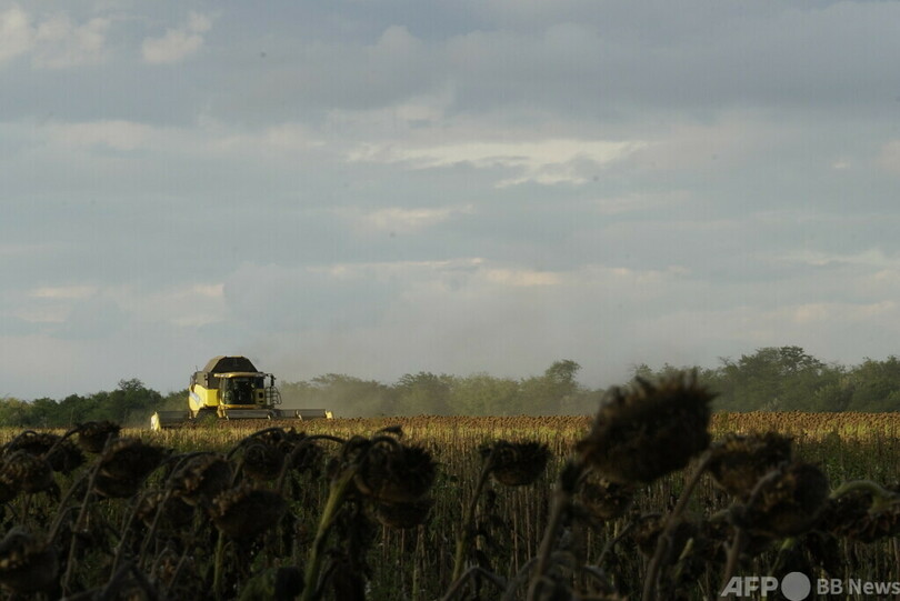 ウクライナの穀物収穫量、今年さらに減少の見通し