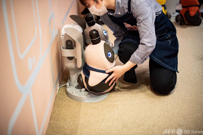 ロボットペットが孤独を癒やす コロナ禍の日本