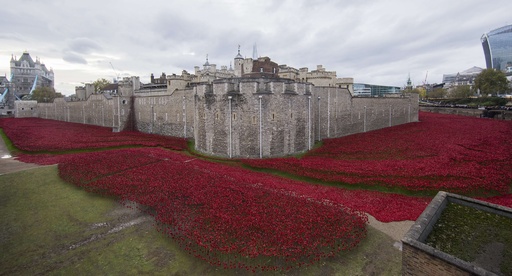 英ロンドン塔の「ポピー畑」が完成、第1次大戦の死者追悼