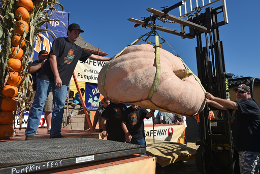 893キロの巨大カボチャ、世界選手権で優勝 米カリフォルニア 写真19枚
