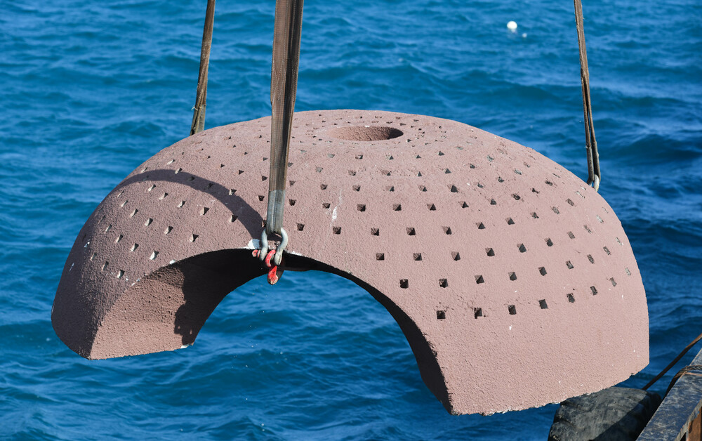 人工礁で亜竜湾の生態系を修復 海南省三亜市 写真12枚 国際ニュース:AFPBB News