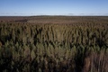 フィンランドの北極圏、ラップランド地方（2022年10月6日撮影、資料写真）。(c)Olivier MORIN / AFP