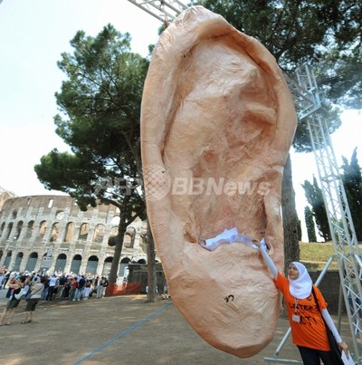 ちぎれた耳を捨てられた Ny男性が市当局を訴える 写真1枚 国際ニュース Afpbb News