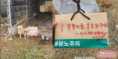 「引っ越ししたせいで^^♡」…韓国の空き家に子犬を置き去り、残された「けしからん」メモ