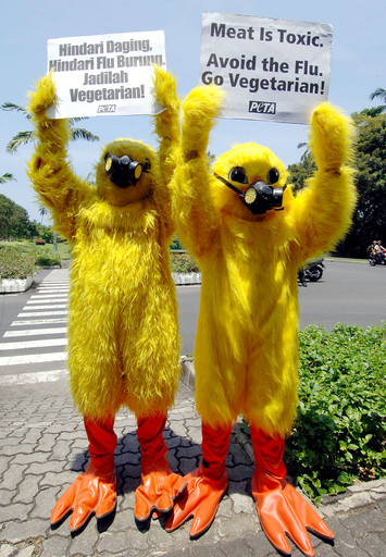インドネシアで鳥インフル国際フォーラム、菜食主義者は着ぐるみでデモ