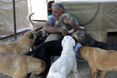 200匹以上の野良犬を自腹で保護 レバノン
