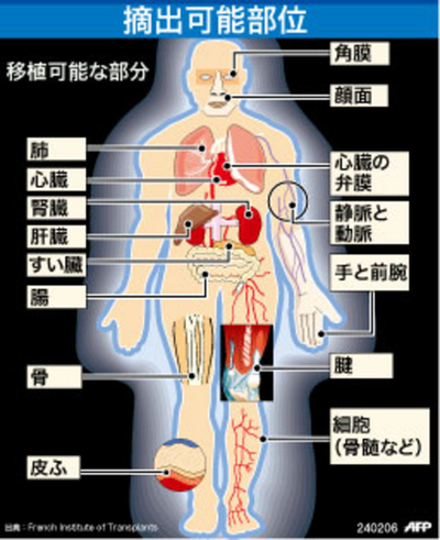 1000遺体から臓器を摘出、「ホラームービー事件」公判開始へ