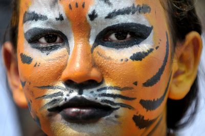 野生生物保護団体、トラにふんしてデモ インドネシア