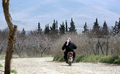 シリア大統領、調停案成功の条件は「テロ行為停止」