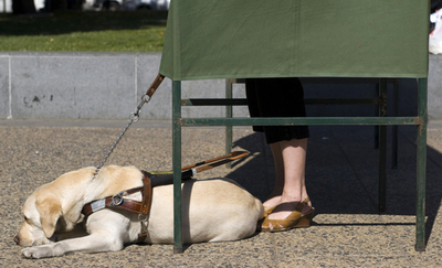 「ゲイの犬」を連れての入店お断り?! 豪州