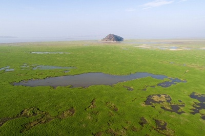 湖が見渡す限りの草原に 中国最大の淡水湖「ハ陽湖」が渇水期