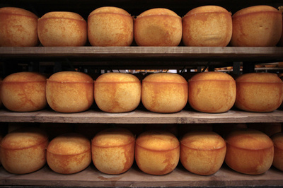 米国当局に「汚名」を着せられたチーズたち、フランス