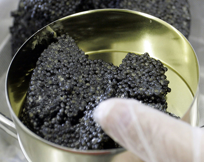 遺体の横に大量の密輸キャビア、ロシア