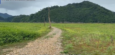 第二次世界大戦中に旧日本軍が建設した泰緬「死の鉄道」の遺構 姿を現す