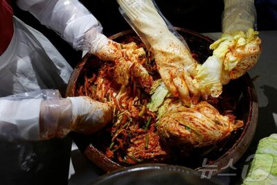 韓国産キムチ、生き残りの岐路…未来の課題は気候変動