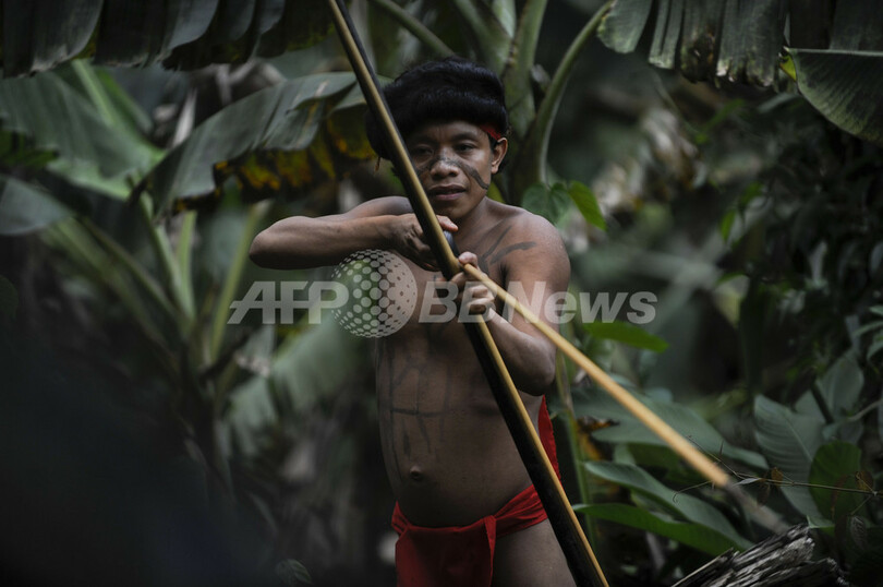 真偽不明のベネズエラ先住民虐殺 政府の取材ツアーで見えたもの 写真12枚 国際ニュース Afpbb News