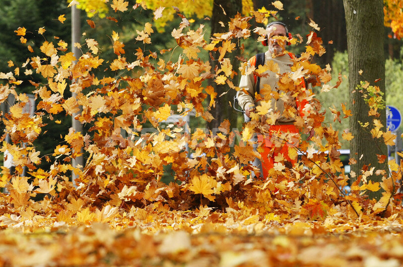 ドイツの秋を彩る紅葉 写真6枚 国際ニュース Afpbb News