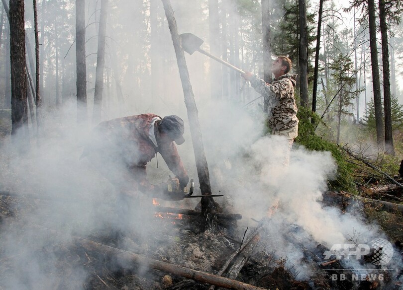森林火災に洪水、針葉樹食べ尽くすガの幼虫…シベリアむしばむ気候変動