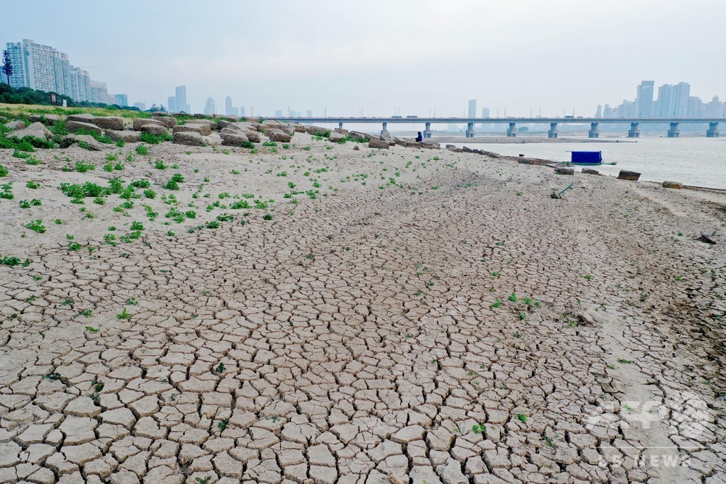 5省の干ばつに中央政府が15億円の災害支援 中国