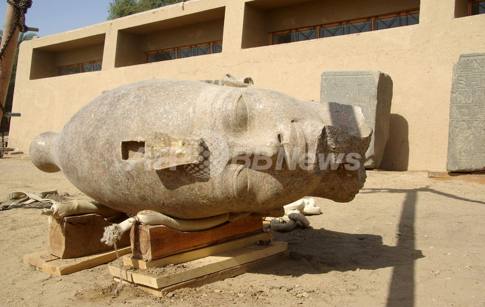 ルクソールでアメンホテプ3世像の頭部が見つかる、エジプト 写真2枚 国際ニュース：AFPBB News