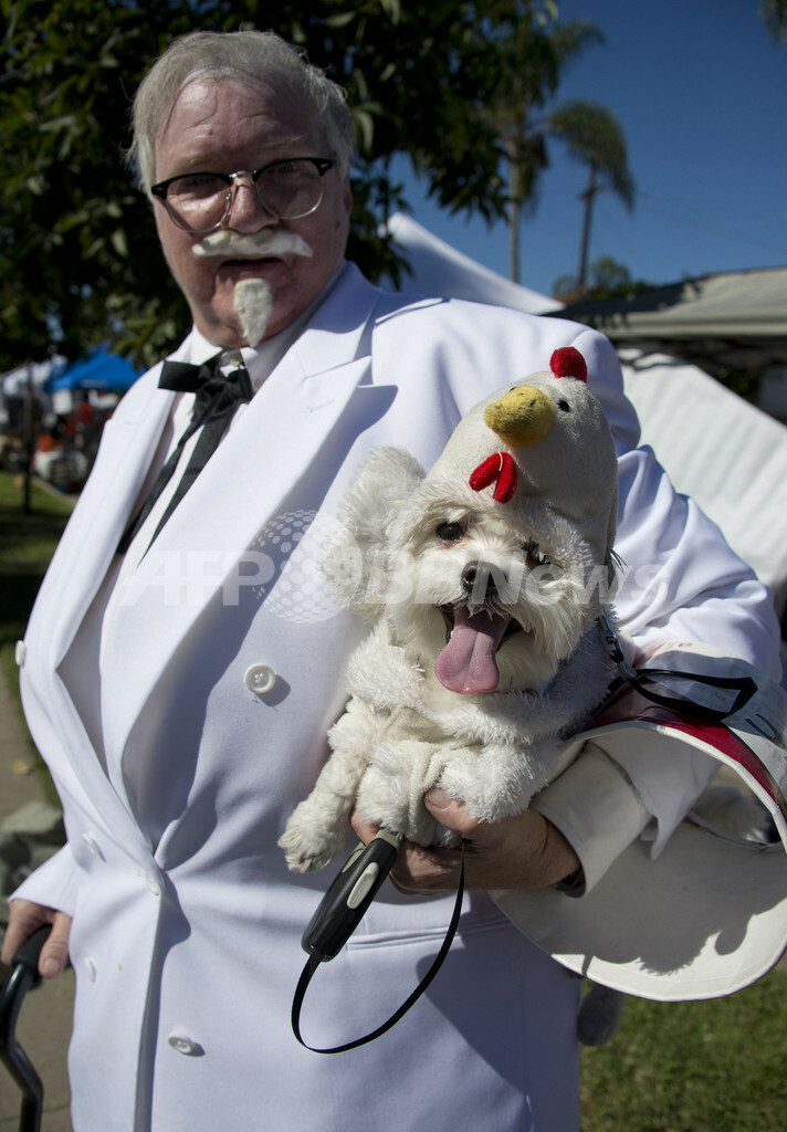 ワンちゃんたちがハロウィーンの仮装パレード 米国 国際ニュース Afpbb News