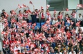 ラグビーW杯イングランド大会・プールB、南アフリカ対日本。試合開始を待つ日本のサポーター（2015年9月19日撮影）。(c)AFP/JUSTIN TALLIS