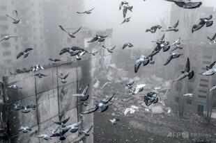 ロシアとの戦争リスク、EU市民の過半数が「高い」と認識 世論調査