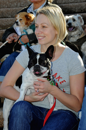 豪州の犬たちが大熱狂、世界初「犬のためのライブ」