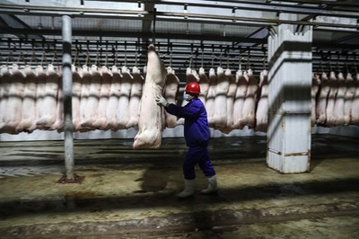 春節に向け供給確保、豚肉加工中 中国