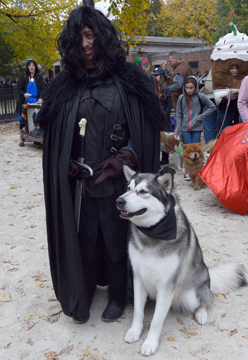 「ゲーム・オブ・スローンズ」に憧れてハスキー犬購入やめて 出演者呼び掛け