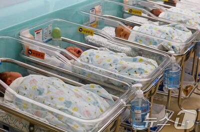 韓国6月の出生数2万3111人、前年比15.6％増…増加率は過去最高