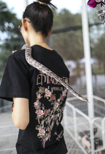 中国で珍しいペットの飼育がブーム