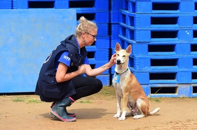 ロヒンギャ問題への関心維持に一役 「人道犬」が人気者に