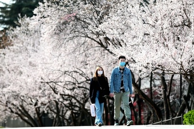 流行のピーク過ぎたが…観光地の民宿業者、不安と期待 中国・西安