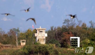 韓国・北朝鮮関係、1年4カ月ぶりに緊張再燃の危機…金与正氏が拡声器の稼働準備を予告