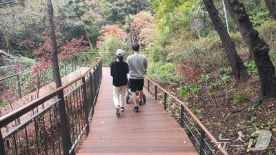 ソウル・南山に1.45kmのバリアフリー遊歩道「空の森の道」誕生
