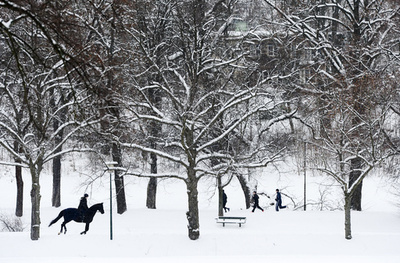 一面に広がる白銀の世界、ストックホルムのユールゴーデン公園