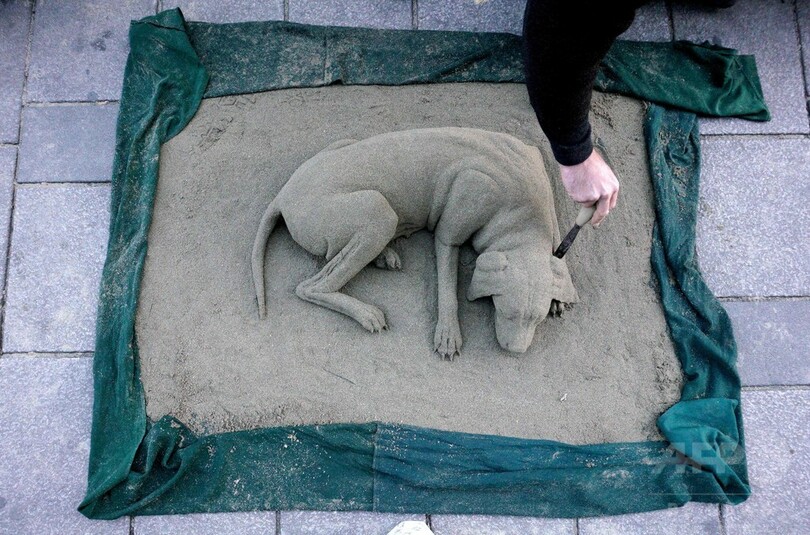 スヤスヤお昼寝、砂でできたワンちゃん オーストリア