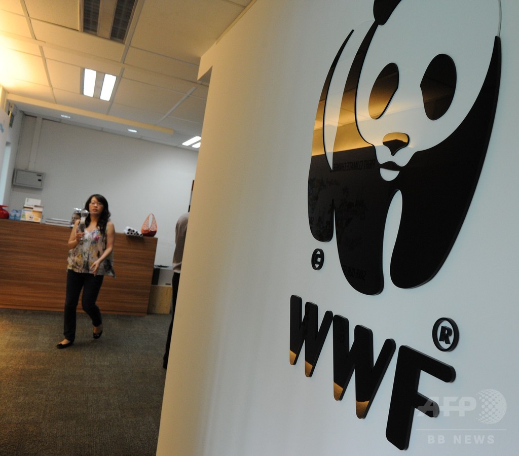 世界の野生動物、過去40年で半減 WWF発表 世界の野生動物、過去40年で半減 WWF発表
