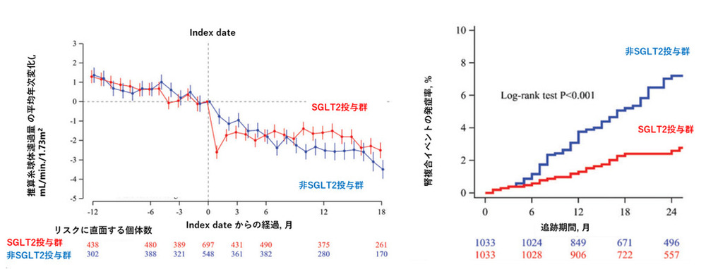 糖尿病治療薬：SGLT2阻害薬の腎保護における新知見を大規模リアル 
