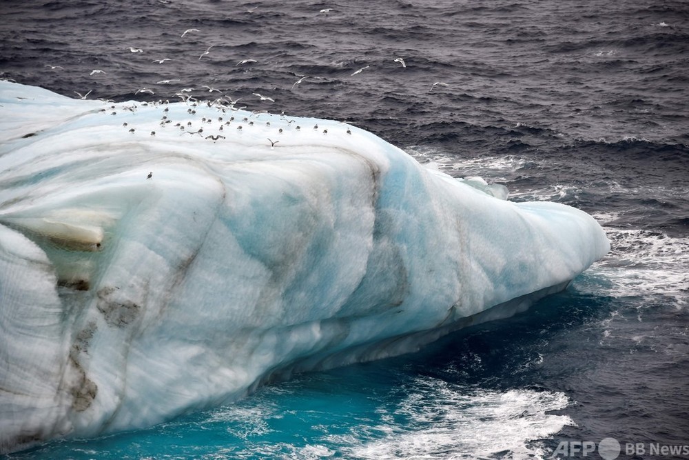北極圏を襲う温暖化の現実 ロシアの砕氷船から見えたもの