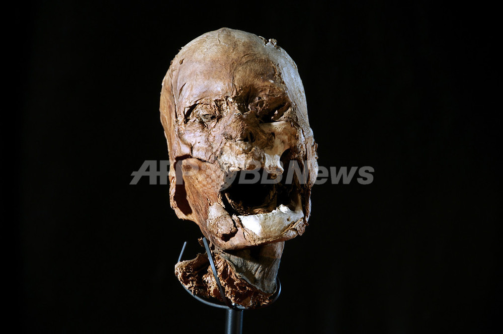 仏国王の頭部は 偽物 先行研究覆すdna分析結果 写真3枚 国際ニュース Afpbb News