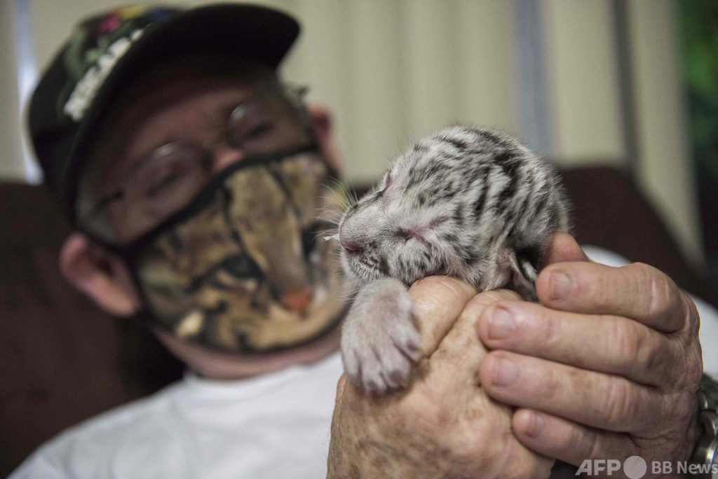 【今日の1枚】ママの代わりはマスク姿のお医者さん