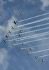 米ウィスコンシン（Wisconsin）州オシュコシュ（Oshkosh）で28日、エクスペリメンタル航空機協会（Experimental Aircraft Association）が主催する毎年恒例の航空ショーが開催された。写真は、編隊を組んで飛行する第二次世界大戦時の飛行機「warbirds」（2009年7月28日撮影）。(c)AFP/Getty Images/Jonathan Daniel